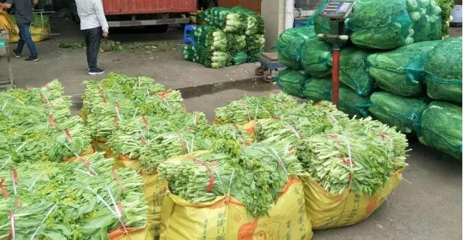 1660529285194915.jpg 82.jpg